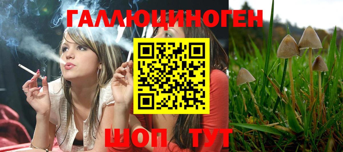 Симферополь  Галлюциногенные грибы Magic Shrooms  Вход с VPN 